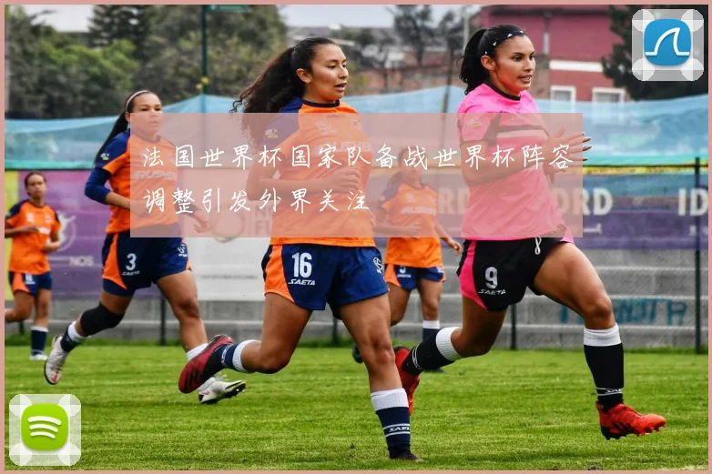 法国世界杯国家队备战世界杯阵容调整引发外界关注