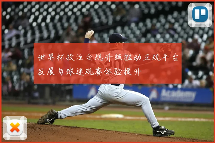 世界杯投注合规升级推动正规平台发展与球迷观赛体验提升